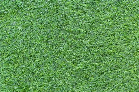 Grass texture or grass background for golf course soccer field or sports design. Foto stock