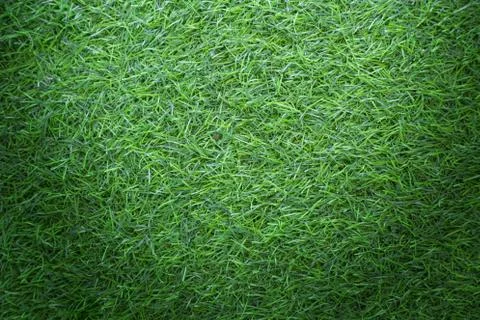Grass texture or grass background for golf course soccer field or sports design. Fotos de archivo