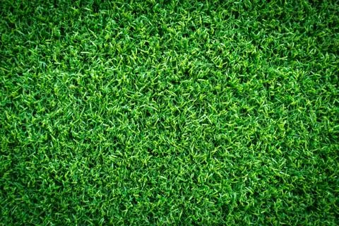 Grass texture or grass background for golf course soccer field or sports design. 스톡 사진