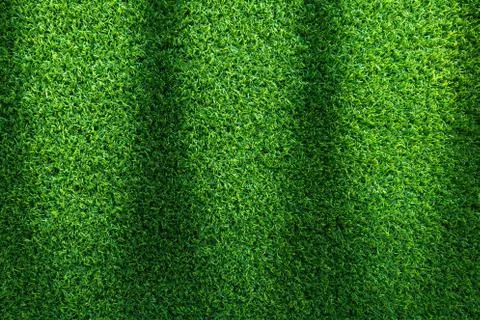 Grass texture or grass background for golf course soccer field or sports design. Stock Photos