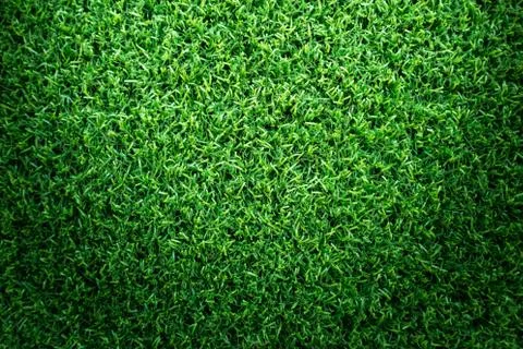Grass texture or grass background for golf course soccer field or sports design. Foto stock