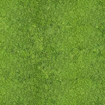 Grass texture Stock Photos