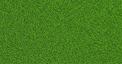 Grass texture plane perpendicular Stock Illustration