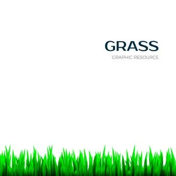 Grass texture. Realistic horizontal Herb botany frame for banner. 스톡 일러스트