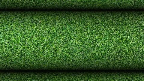 Grass Texture, Rolls, Background, Exclusive, Rotation, Unique Design Stock Footage 304466214