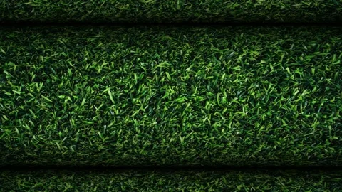 Grass Texture, Rolls, Background, Rotation, Exclusive, Unique Design Stock Footage 304466174