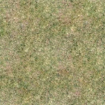 Grass Texture Seamless Material Map Stock Illustration