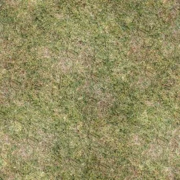 Grass Texture Seamless Material Map Stock Illustration