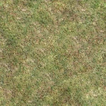 Grass Texture Seamless Material Map Stock Illustration