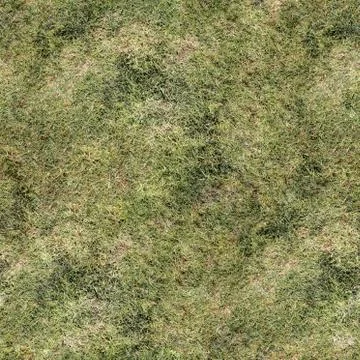 Grass Texture Seamless Material Map Stock Illustration