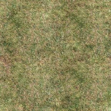 Grass Texture Seamless Material Map Stock Illustration