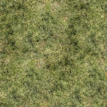 Grass Texture Seamless Material Map Stock Illustration