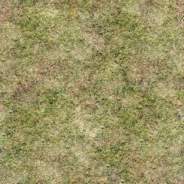 Grass Texture Seamless Material Map Stock Illustration