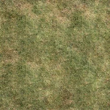 Grass Texture Seamless Material Map Stock Illustration