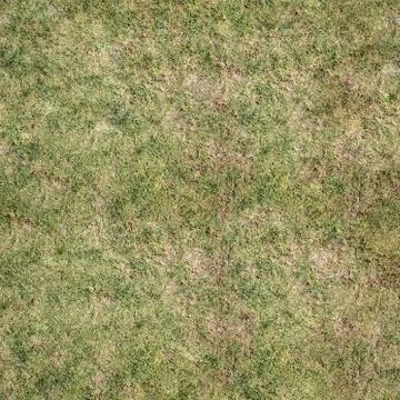 Grass Texture Seamless Material Map Stock Illustration