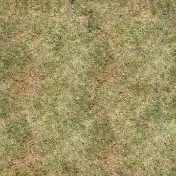 Grass Texture Seamless Material Map Stock Illustration