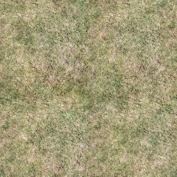 Grass Texture Seamless Material Map Stock Illustration