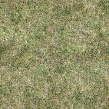 Grass Texture Seamless Material Map Stock Illustration