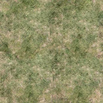 Grass Texture Seamless Material Map Stock Illustration