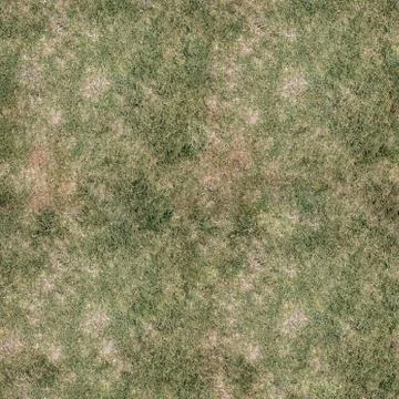 Grass Texture Seamless Material Map Stock Illustration