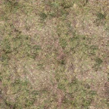 Grass Texture Seamless Material Map Stock Illustration