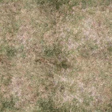 Grass Texture Seamless Material Map Stock Illustration