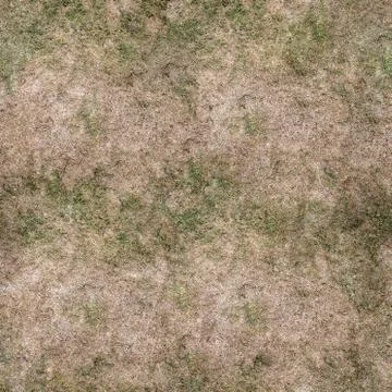 Grass Texture Seamless Material Map Stock Illustration