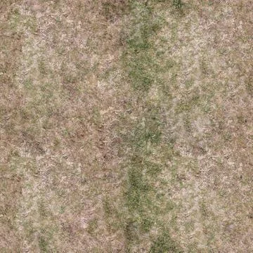 Grass Texture Seamless Material Map Stock Illustration