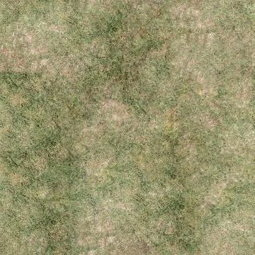 Grass Texture Seamless Material Map Stock Illustration