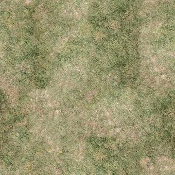 Grass Texture Seamless Material Map Stock Illustration
