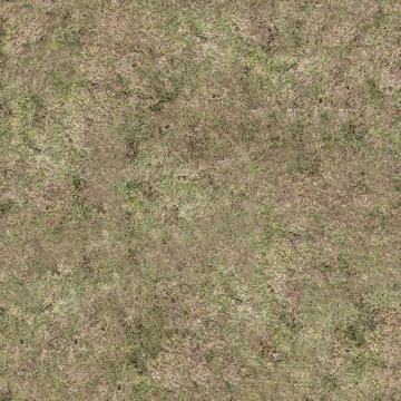 Grass Texture Seamless Material Map Stock Illustration