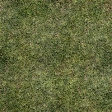 Grass Texture Seamless Material Map Stock Illustration