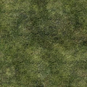 Grass Texture Seamless Material Map Stock Illustration