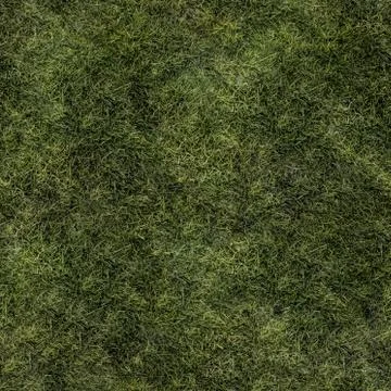Grass Texture Seamless Material Map Illustrazione stock