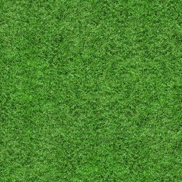 Grass Texture - Seamless Stock Photos
