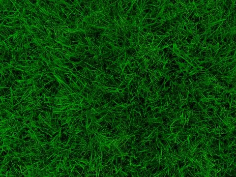 Grass texture top view. Fresh bright green grass Foto stock