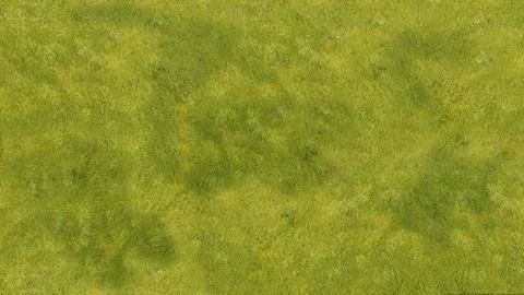 Grass texture.jpg Stock-Fotos