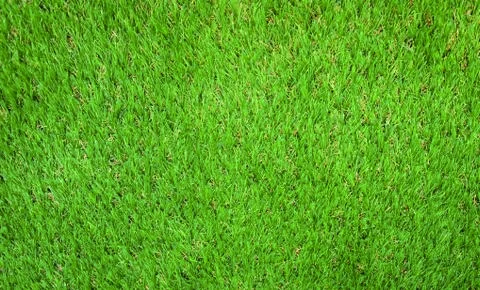 Grass textures background Stock Photos