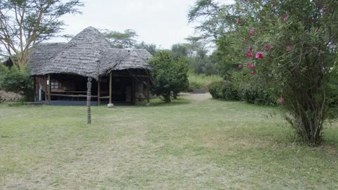 Grass Thatched Cottage in Kenya Video stock 345071306