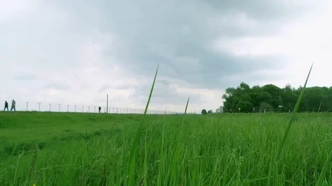 Grass time lapse in Munich. Stock Footage 71640822