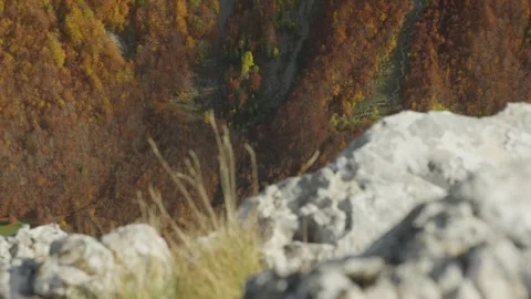 Grass on top of a mountain against the mountain slopes with autumn trees. Stock Footage 289637413