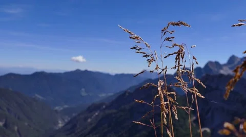 Grass on the top o a mountain peak Stock Footage 66293458