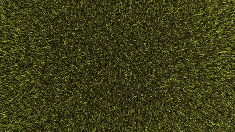 Grass Top View Stock Footage 149419294