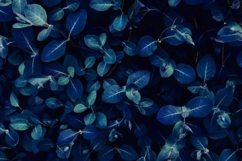 Grass top view minimalistic background 스톡 사진
