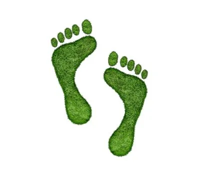 Grass tracks Stock Illustration