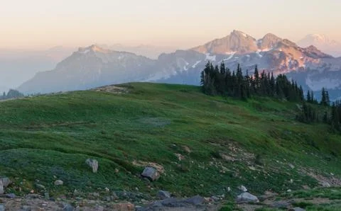 Grass, trees and mountain background Stock Photos