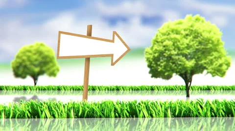 Grass with trees and sign Stock Footage 2923889