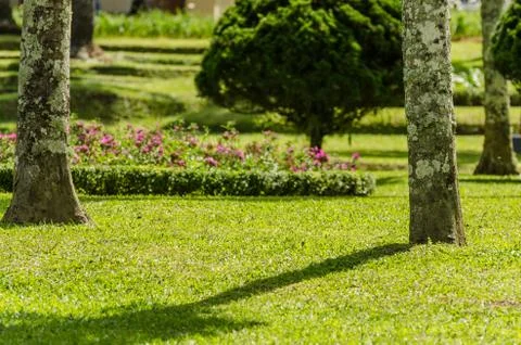 Grass trees flowers temple complex Stock Photos