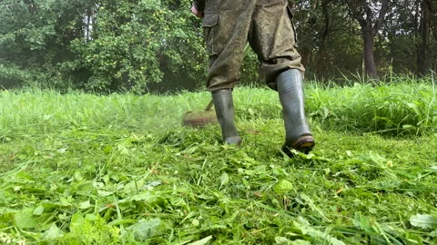 Grass Trimmer and Grass Cutter. Gardener mows weeds grass Stock Footage 251468955