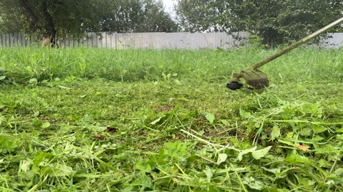 Grass Trimmer and Grass Cutter. Gardener mows weeds grass Video stock 251469119